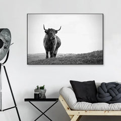 Highland Cow Photography Framed Wall Art - All India Decor