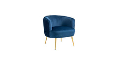 Blue Leiser Accent Chair - All India Decor