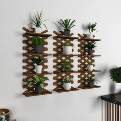 Criss Cross Designer Dark Walnut Planter Wall Shelves Set Of 3 - All India Decor