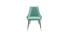 Sage Sumra Accent Chair - All India Decor