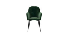 Green Araceli Accent Chair - All India Decor