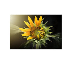 Nature Sunflower Scenery Canvas Prints Wooden Wall Painting - All India Decor