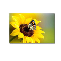 Sunflower With Butterfly Canvas Prints Wooden Wall Painting - All India Decor