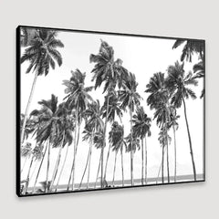 Coconut Trees Framed Wall Art - All India Decor