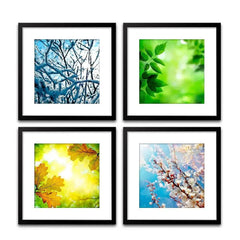 Four Seasons Colorful Wall Painting Frame Set of 4 - All India Decor