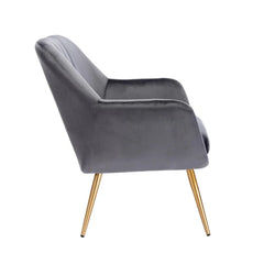 Dense Padded Bright Grey Velvet Accent Chair - All India Decor