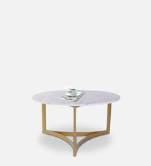 Coffee Table In Golden Powder Colour - All India Decor