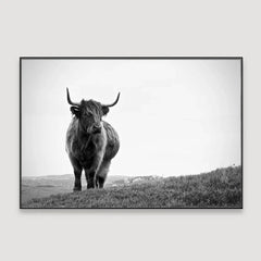 Highland Cow Photography Framed Wall Art - All India Decor