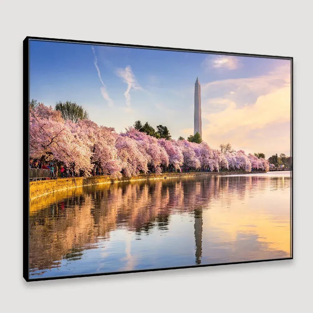 Delightful Tidal Basin of Washington Framed Wall Art - All India Decor