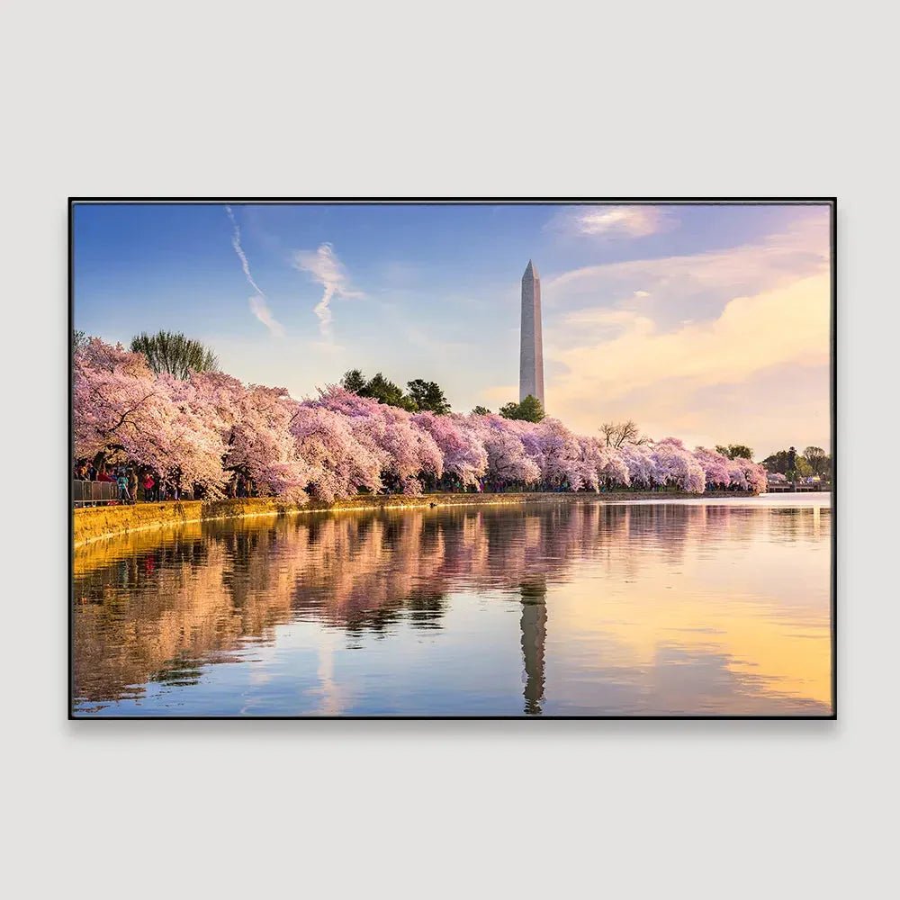 Delightful Tidal Basin of Washington Framed Wall Art - All India Decor