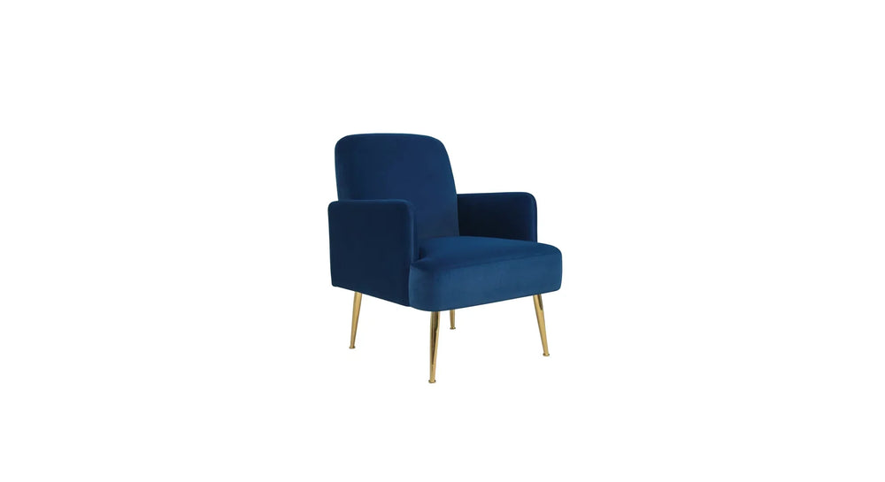 Blue Esme Accent Chair - All India Decor