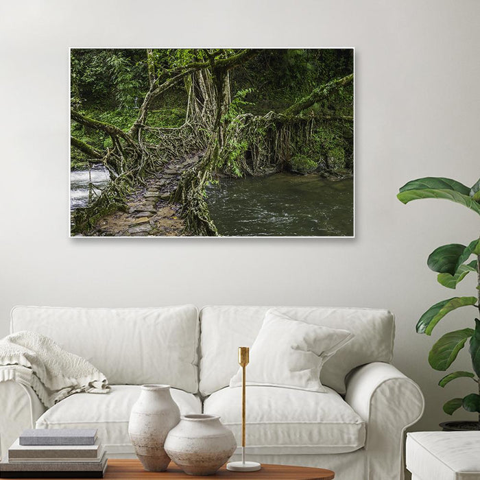 Living Roots Bridge Framed Wall art