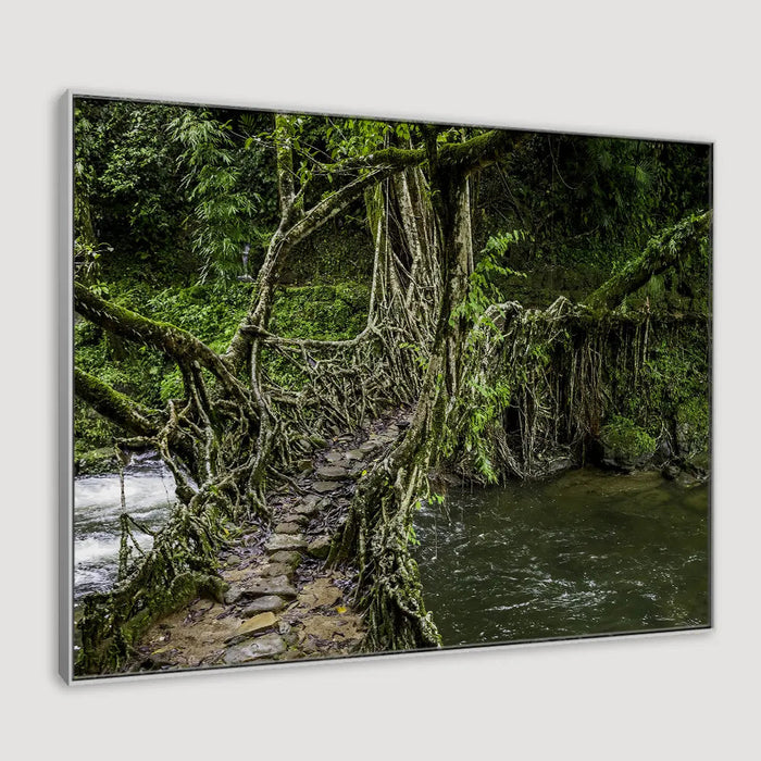 Living Roots Bridge Framed Wall art