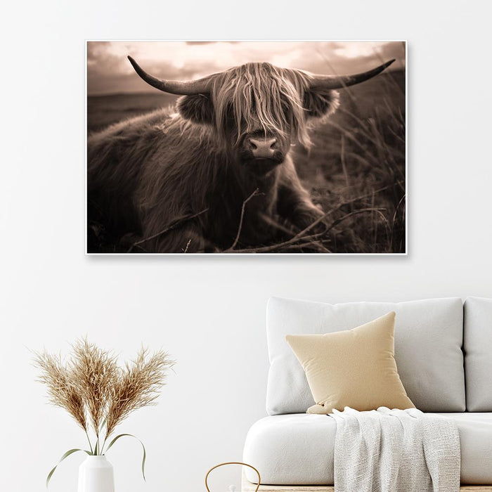 Scottish Highland Cow Framed Wall art