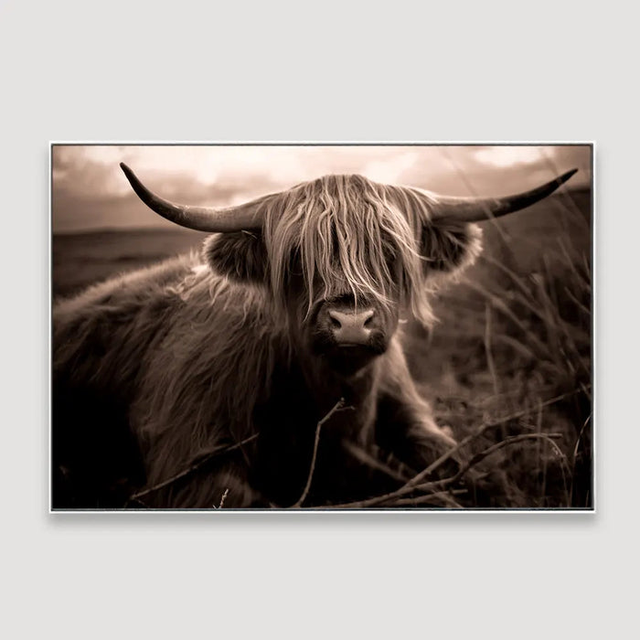 Scottish Highland Cow Framed Wall art