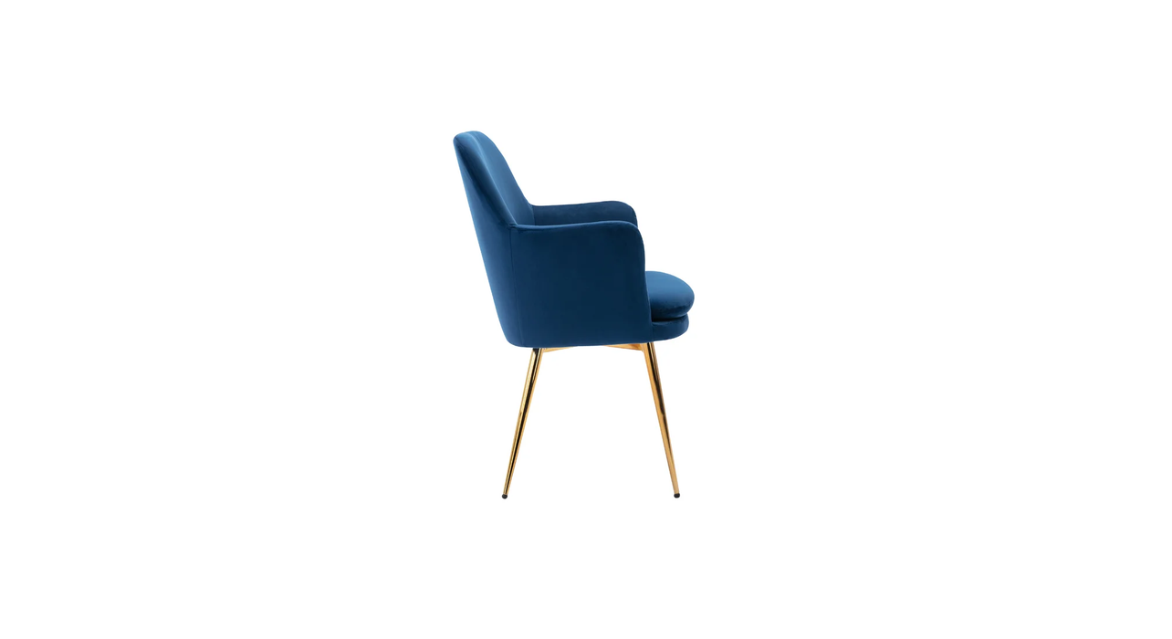 Blue Tonas Accent Chair