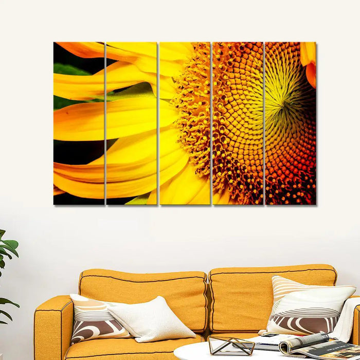 sunflower macro shoot 5 Pieces Canvas Print Wall Painting