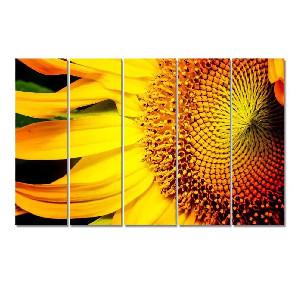 sunflower macro shoot 5 Pieces Canvas Print Wall Painting - All India Decor