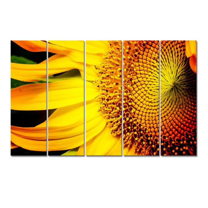 sunflower macro shoot 5 Pieces Canvas Print Wall Painting