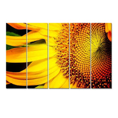 sunflower macro shoot 5 Pieces Canvas Print Wall Painting - All India Decor