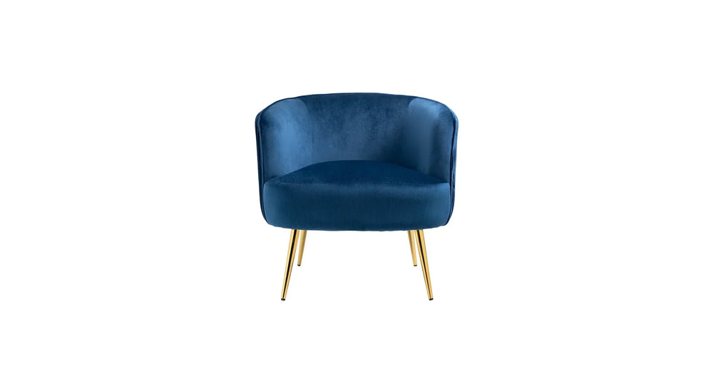 Blue Leiser Accent Chair - All India Decor