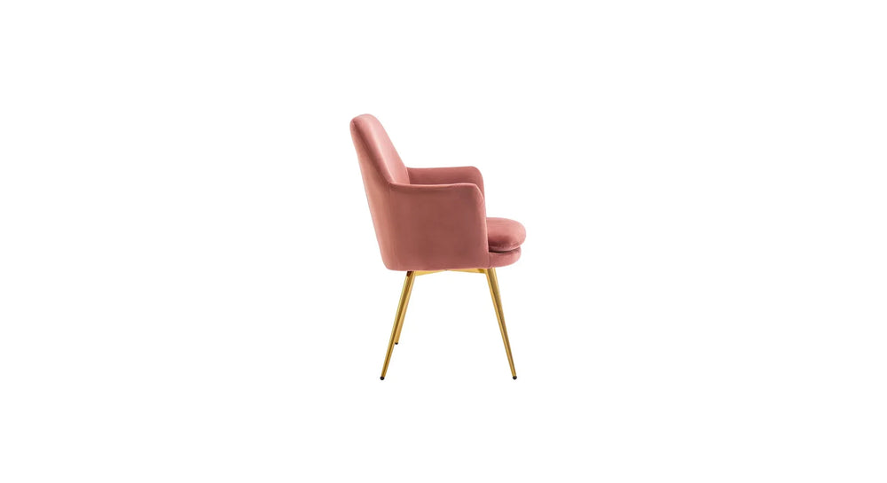 Pink Tonas Accent Chair - All India Decor