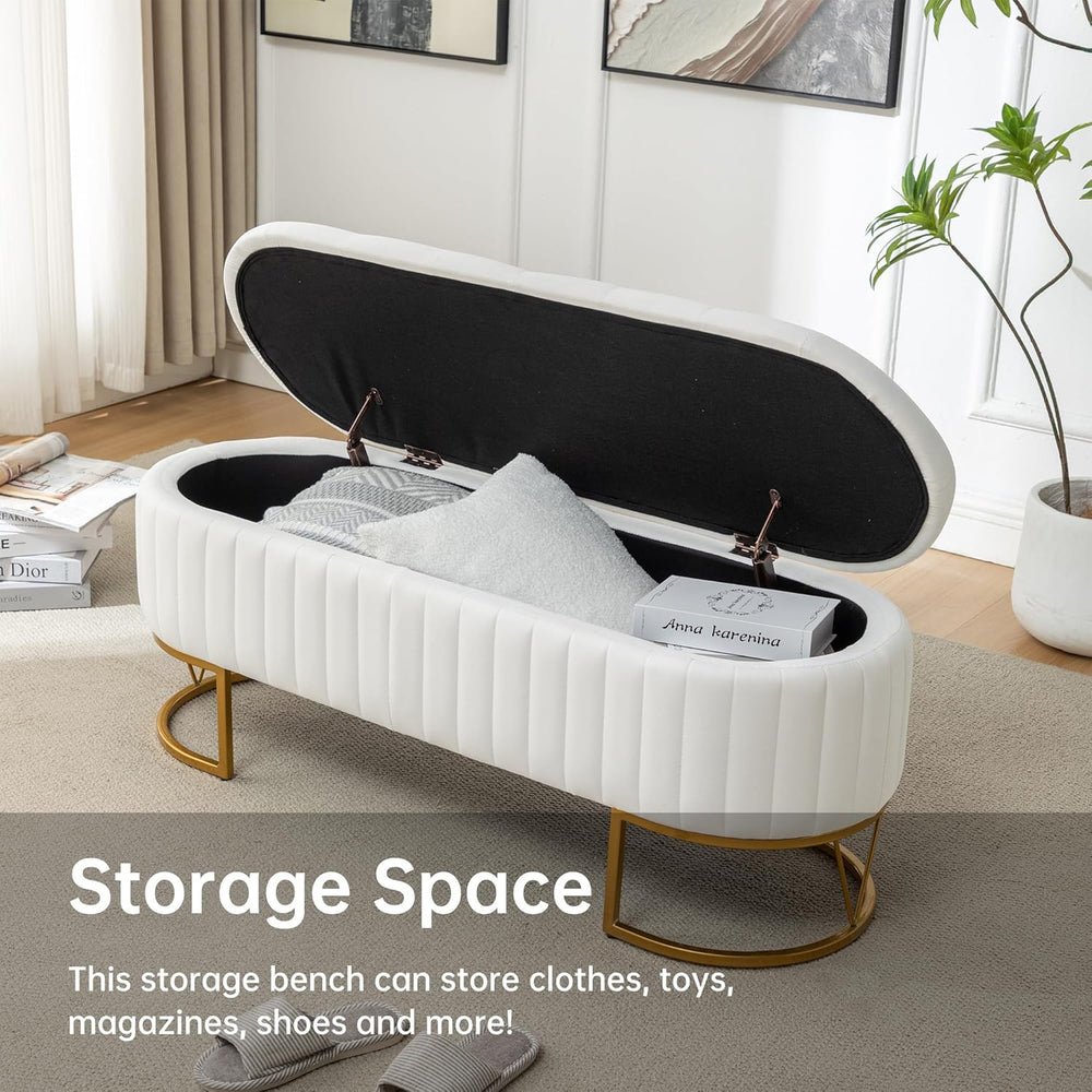 White storage bench with black cushion in a living room setting, featuring text about its storage capacity.