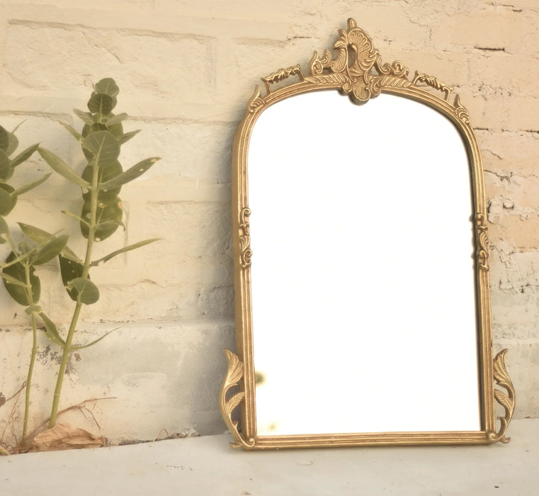Decorative gold mirror on a textured wall with a plant to the left.
