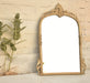Decorative gold mirror on a textured wall with a plant to the left.