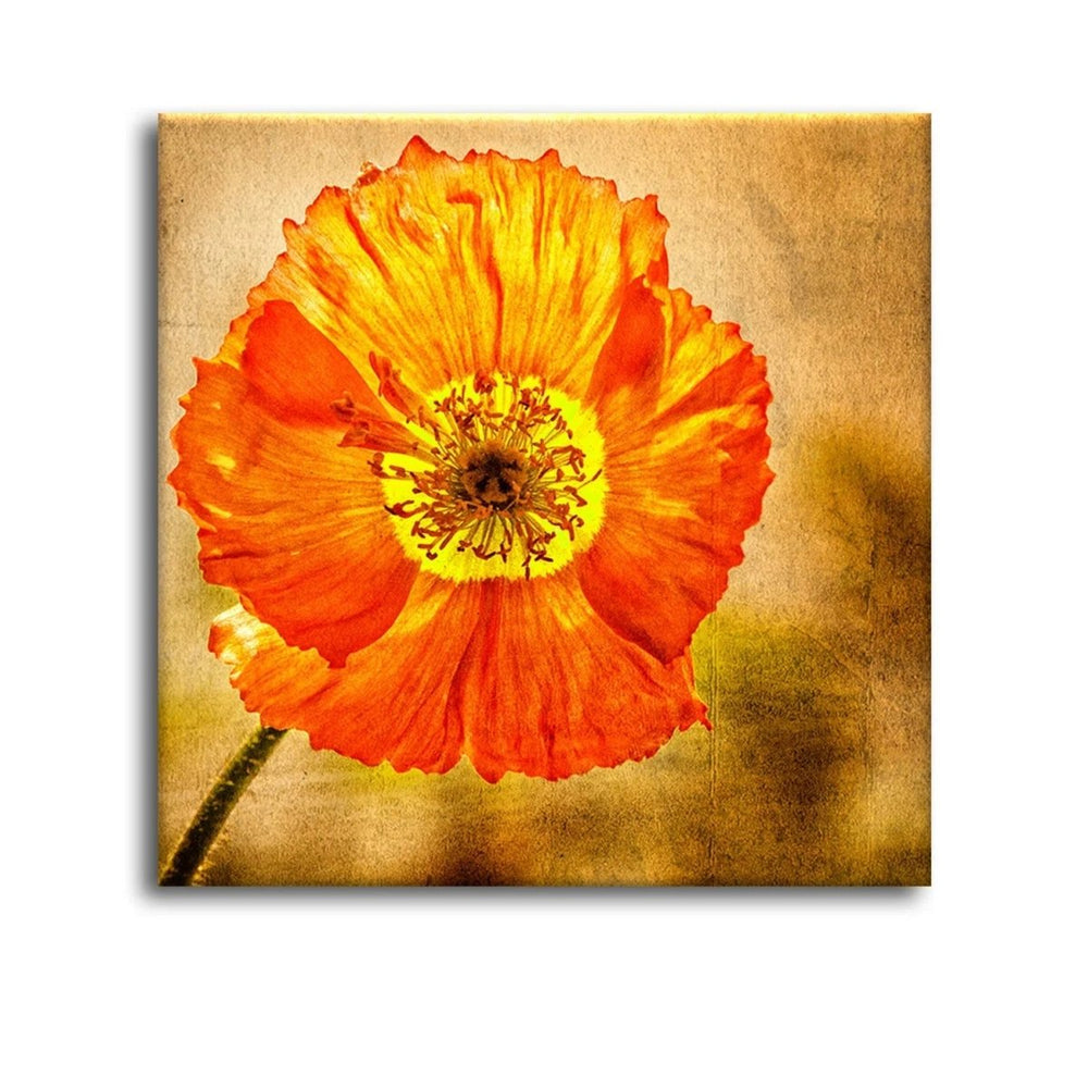 Exotic Blooms Unique Flower Paintings - All India Decor