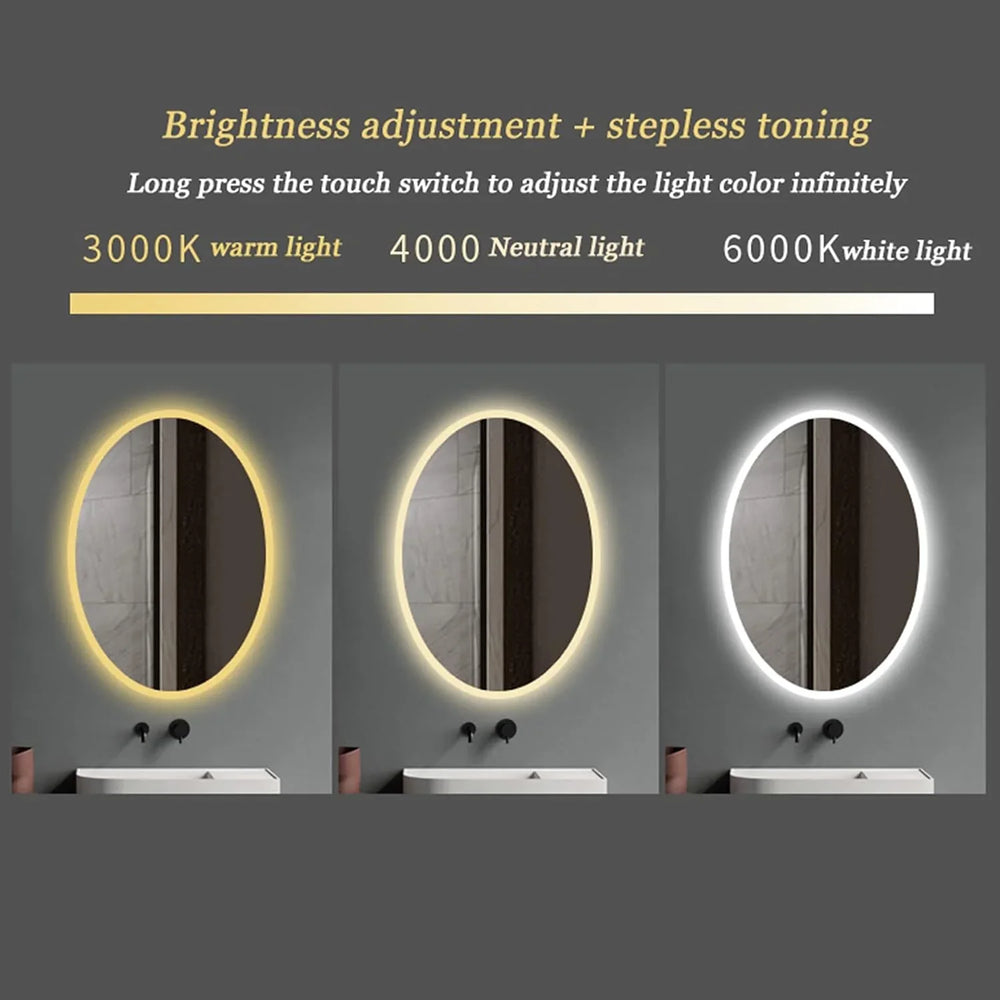 Kolby Frosted Edge Oval LED Mirror - All India Decor