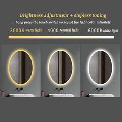Kolby Frosted Edge Oval LED Mirror - All India Decor