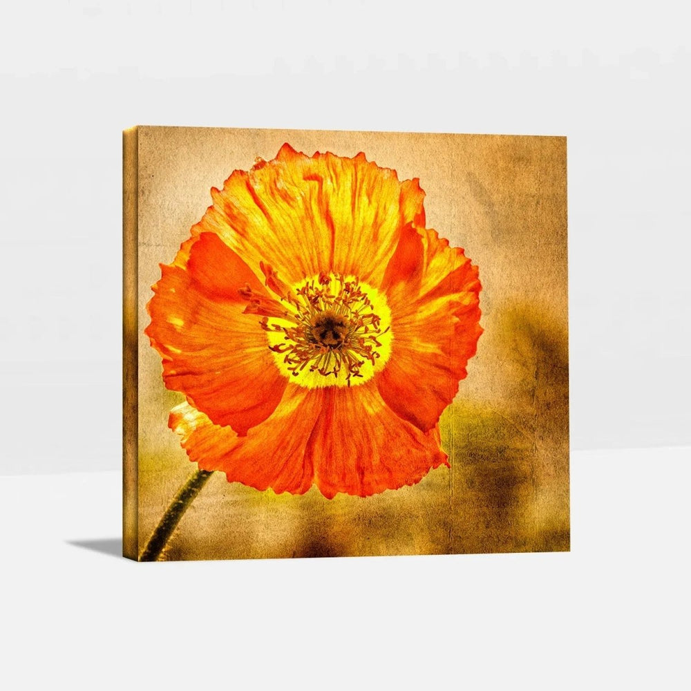 Exotic Blooms Unique Flower Paintings - All India Decor