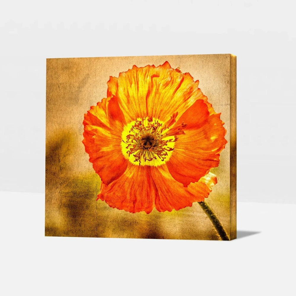 Exotic Blooms Unique Flower Paintings - All India Decor