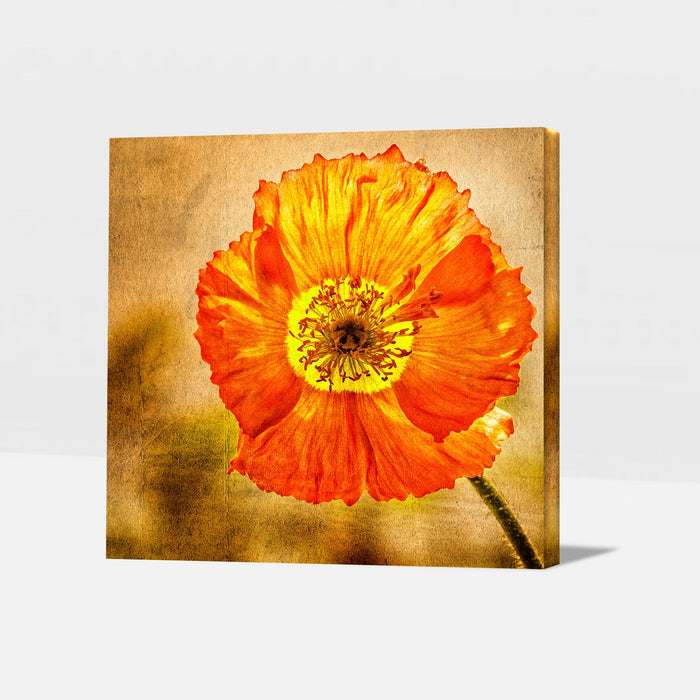 Exotic Blooms Unique Flower Paintings