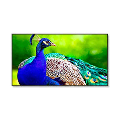 Beautiful Peacock Big Panoramic Canvas Wall Painting - All India Decor