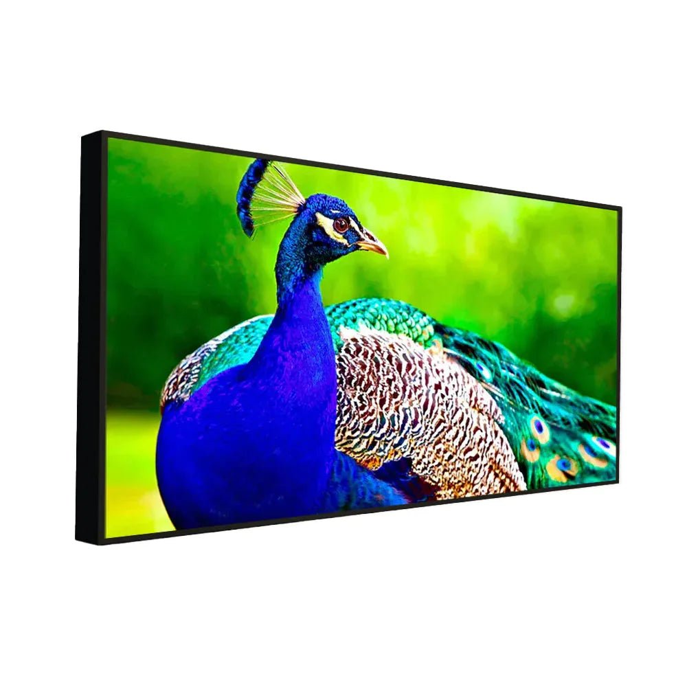 Beautiful Peacock Big Panoramic Canvas Wall Painting - All India Decor