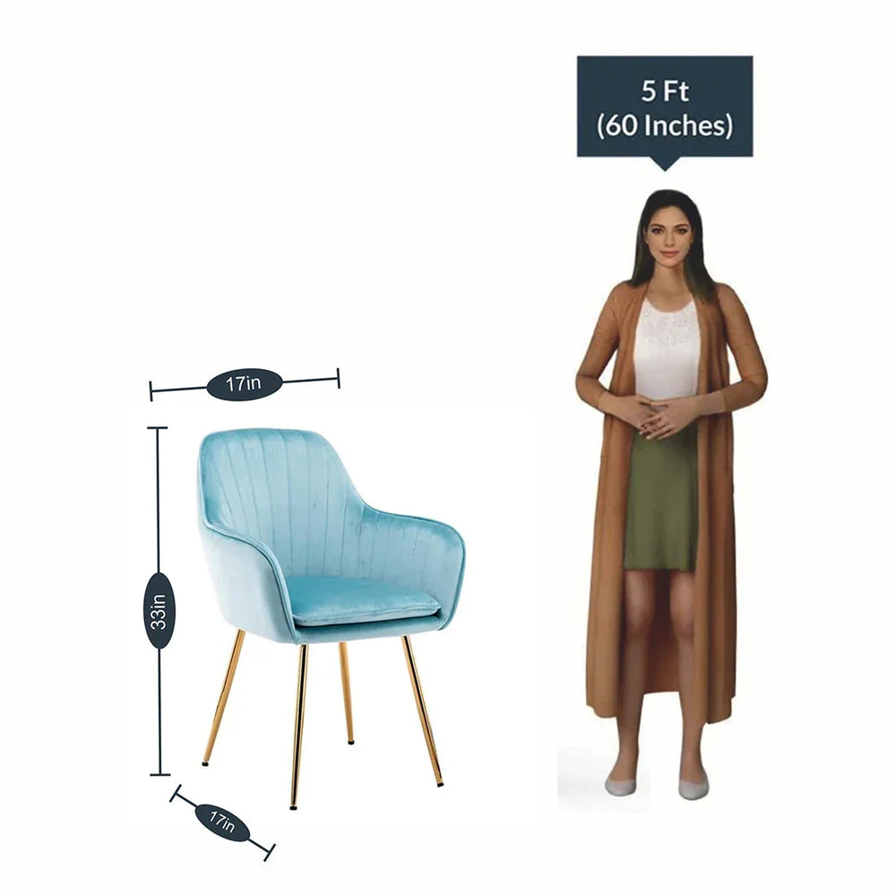 High Tufted Back Luxury Sky Blue Lounge Chair - All India Decor