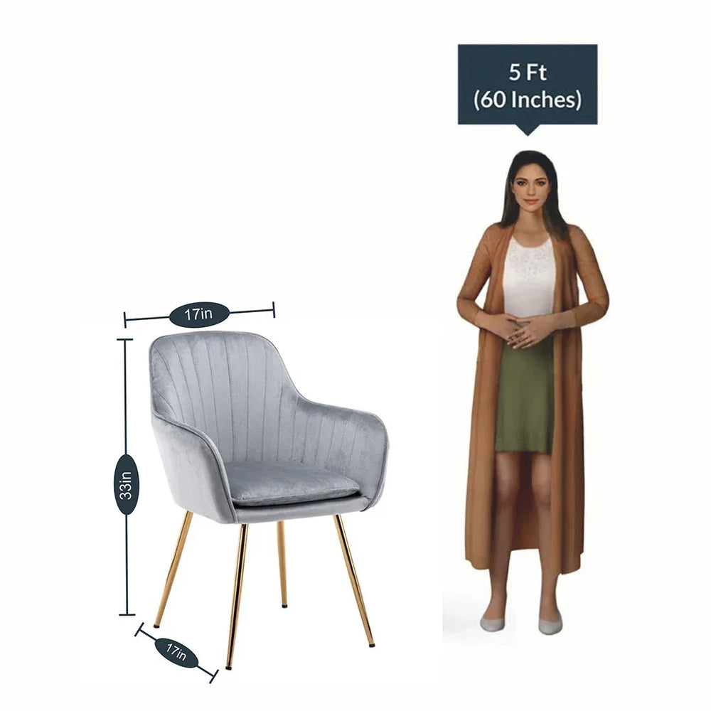 High Tufted Back Luxury Grey Lounge Chair - All India Decor