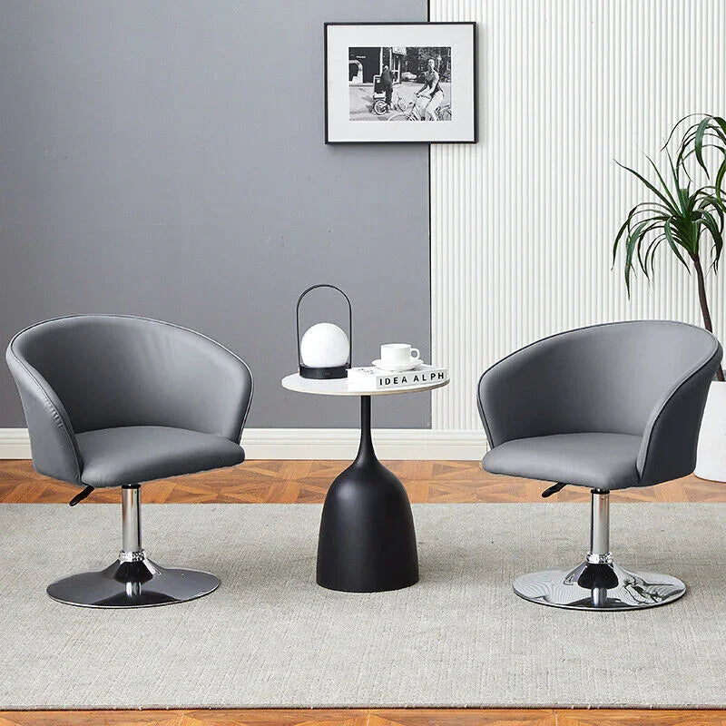 Grey Homy Swivel Bar Stool/Chair - All India Decor