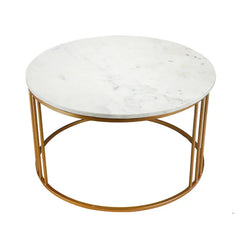 Luxury Round Marble White Matte Finish Metal Center Table - All India Decor