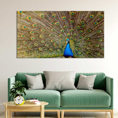 Indian Peacock Birds Wall Painting